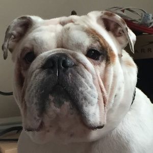 Meet your Posher, Omar